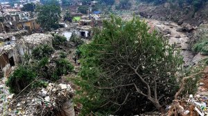 DA calls for immediate action from Limpopo Public Works and RAL in response to flooding