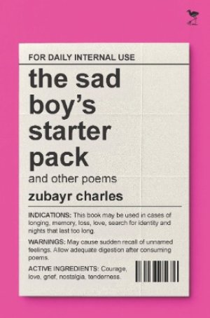 the sad boy’s starter pack and other poems 