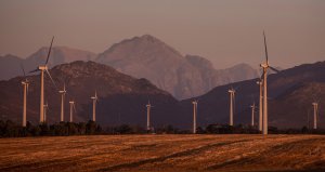 An image of wind power in the Western Cape