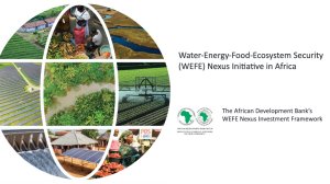 The African Development Bank’s WEFE Nexus Investment Framework
