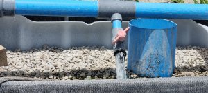 World Bank report highlights potential of smarter water use 