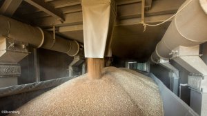 Grain being stored in a silo