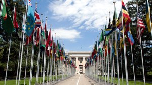 UN flags