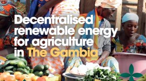  Decentralised renewable energy for agriculture in The Gambia 