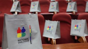 National Dialogue steering committee adopts pilot dialogue implementation framework for rollout phase