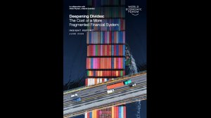  Deepening Divides: The Cost of a More Fragmented Financial System 