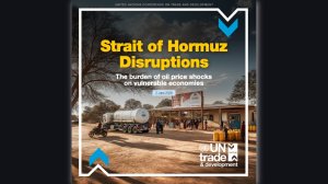 Strait of Hormuz Disruptions: The burden of oil price shocks on vulnerable economies