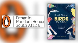 South African Birds by Name: Origins and Meanings
