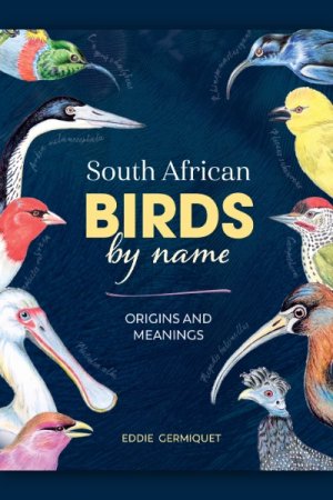 South African Birds by Name: Origins and Meanings
