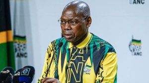 Committee chairperson Zweli Mkhize