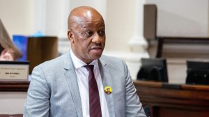 KZN Premier Thamsanqa Ntuli