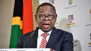 Minister of Science, Technology and Innovation professor Blade Nzimande