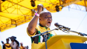 Image of Gwede Mantashe