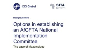 Options in establishing an AfCFTA National Implementation Committee: the case of Mozambique